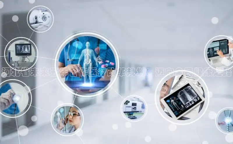 mk体育全站app